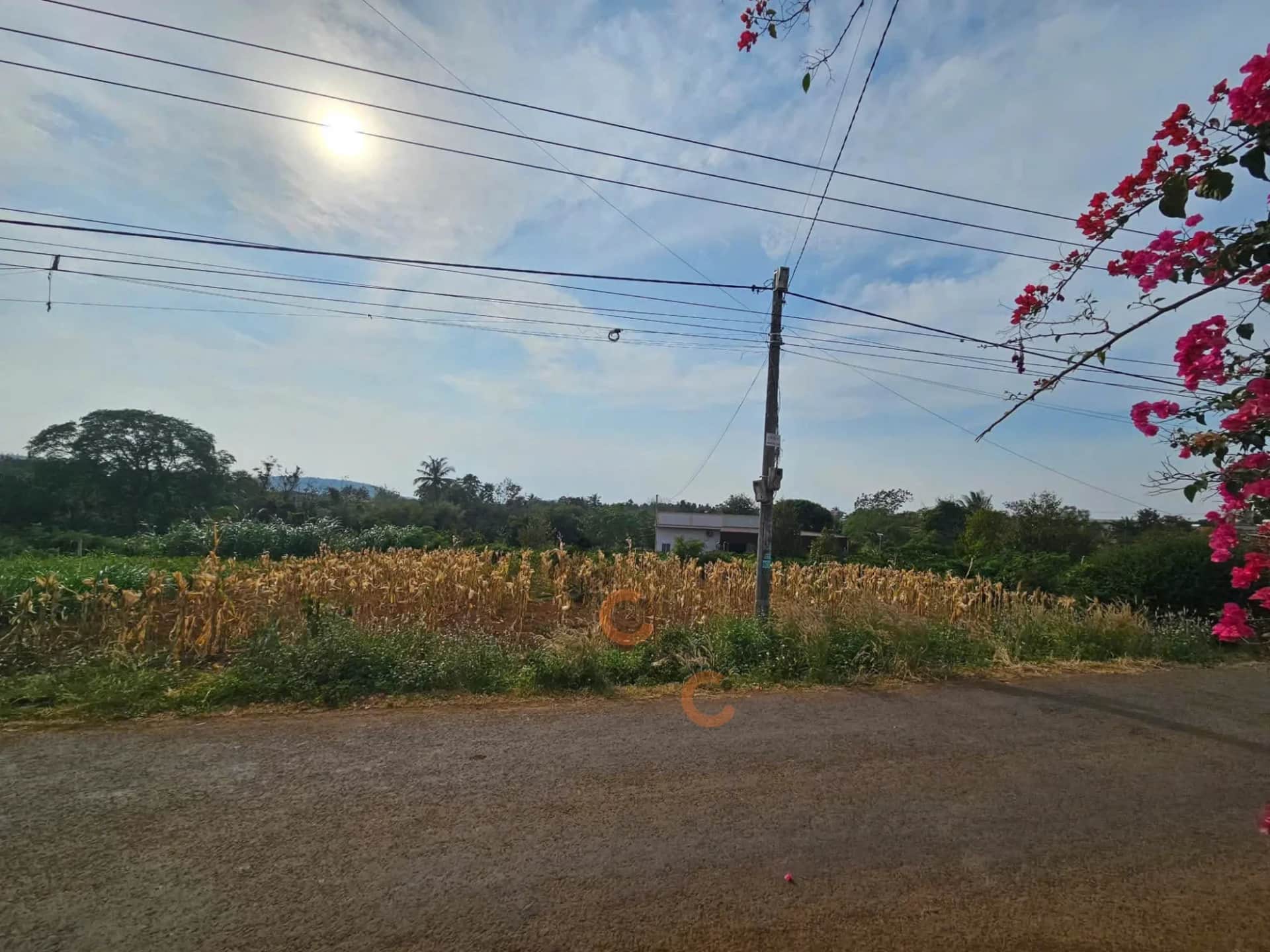 Bán đất Thôn 3 Thành phố Buôn Ma Thuột, Đắk Lắk – giá 870 triệu Bán đất Thôn 3 Thành phố Buôn Ma Thuột, Đắk Lắk – giá 870 triệu
