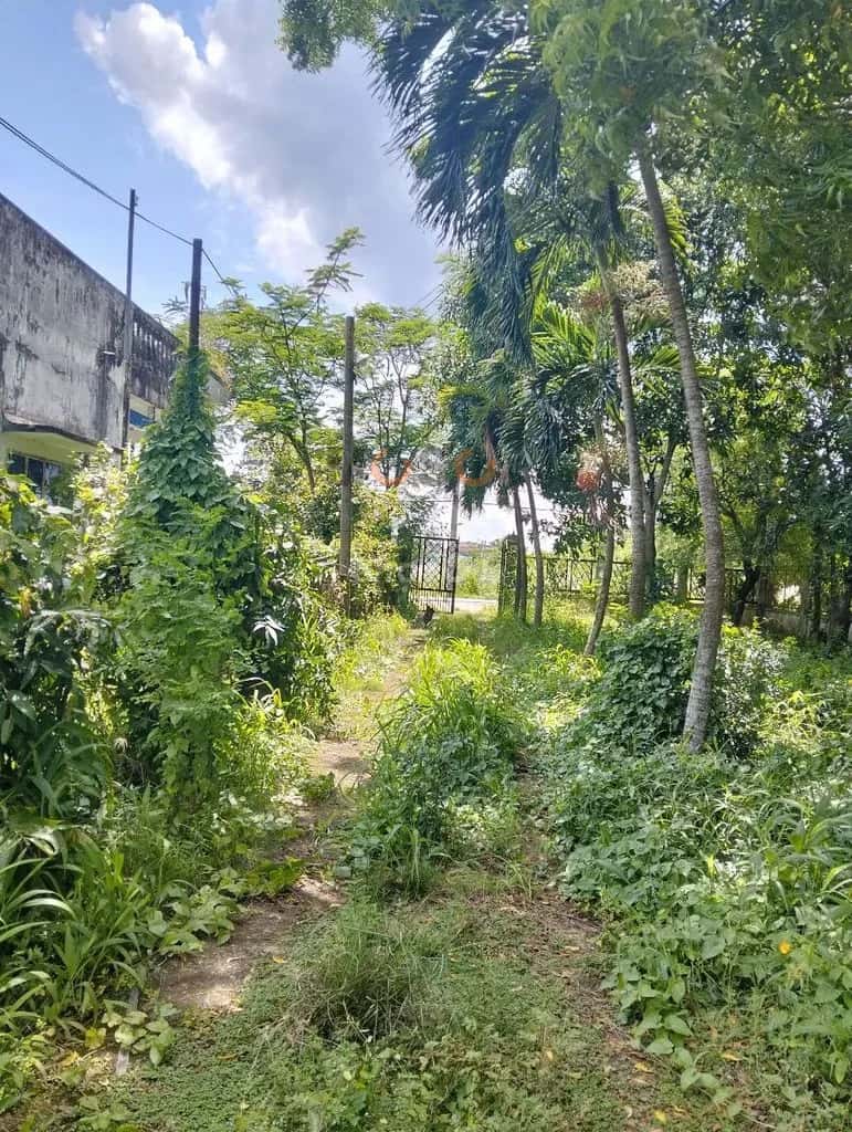 Cho thuê nhà hẻm Lê Thị Tám Huyện Bình Chánh, Ho Chi Minh – 3 phòng ngủ, giá 11 triệu — Hình 3 Cho thuê nhà hẻm Lê Thị Tám Huyện Bình Chánh, Ho Chi Minh – 3 phòng ngủ, giá 11 triệu — Hình 3