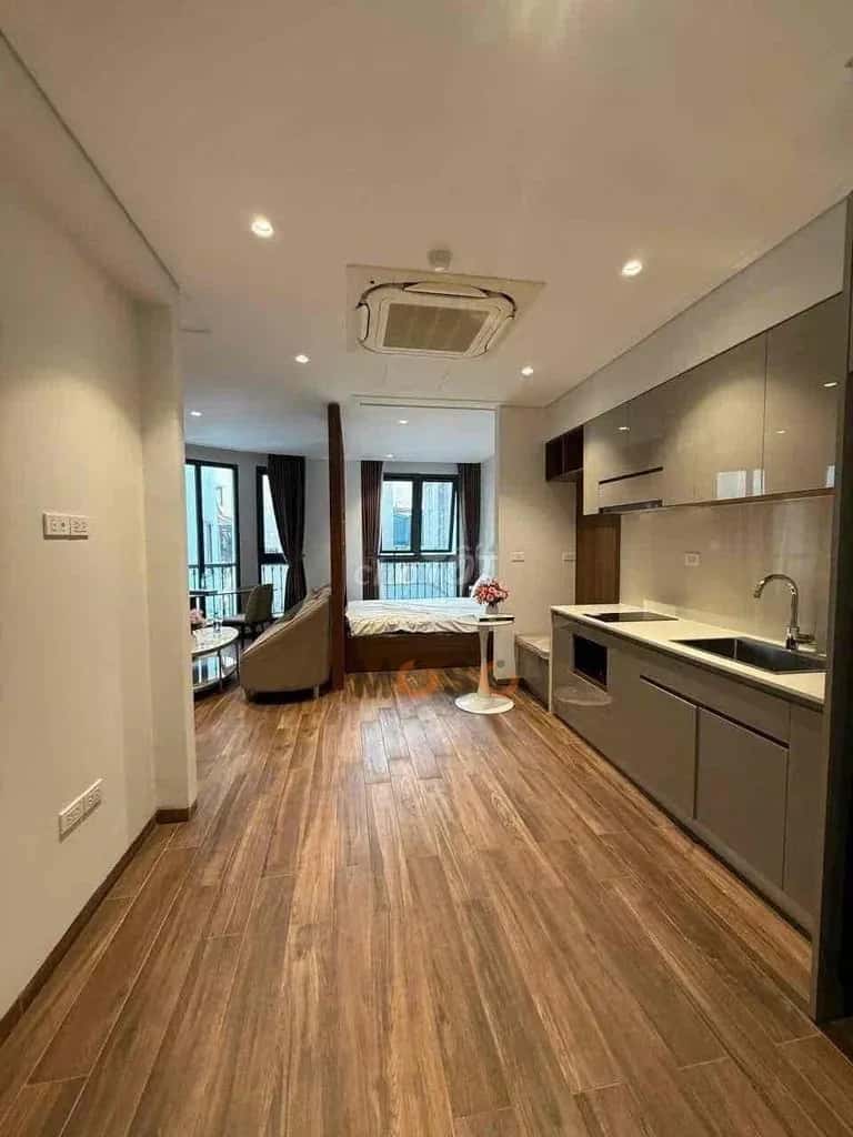 Cho thuê căn hộ chung cư Nam Kỳ Khởi Nghĩa Quận 1, TP.HCM – 1 phòng ngủ, giá 9 triệu — Hình 2 Cho thuê căn hộ chung cư Nam Kỳ Khởi Nghĩa Quận 1, TP.HCM – 1 phòng ngủ, giá 9 triệu — Hình 2