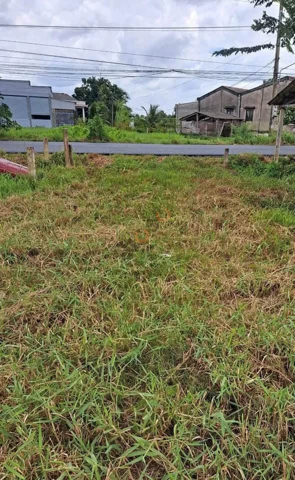 Bán đất đường Lộ Dừa Huyện Châu Thành, Long An – giá 1.4 tỷ Bán đất đường Lộ Dừa Huyện Châu Thành, Long An – giá 1.4 tỷ