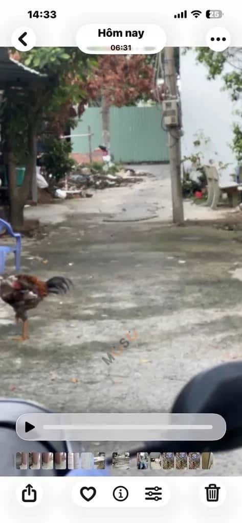 Cho thuê nhà hẻm Le thi rieng Quận 12, Ho Chi Minh – 2 phòng ngủ, giá 4.5 triệu — Hình 3 Cho thuê nhà hẻm Le thi rieng Quận 12, Ho Chi Minh – 2 phòng ngủ, giá 4.5 triệu — Hình 3