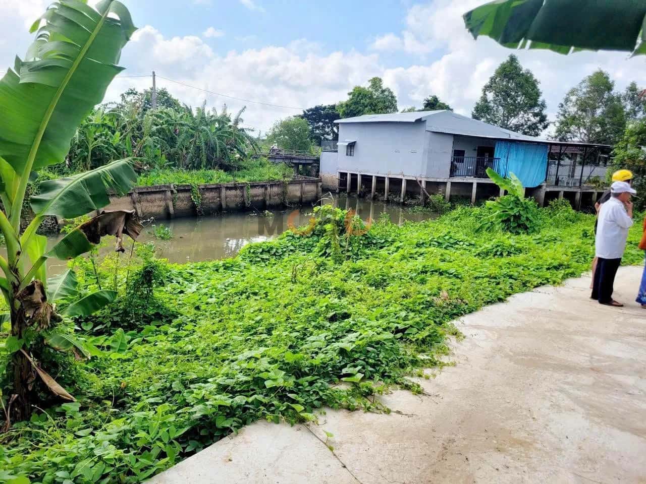 Bán đất Rạch Lung Trâu Quận Cái Răng, TP. Cần Thơ – giá 420 triệu — Hình 2 Bán đất Rạch Lung Trâu Quận Cái Răng, TP. Cần Thơ – giá 420 triệu — Hình 2