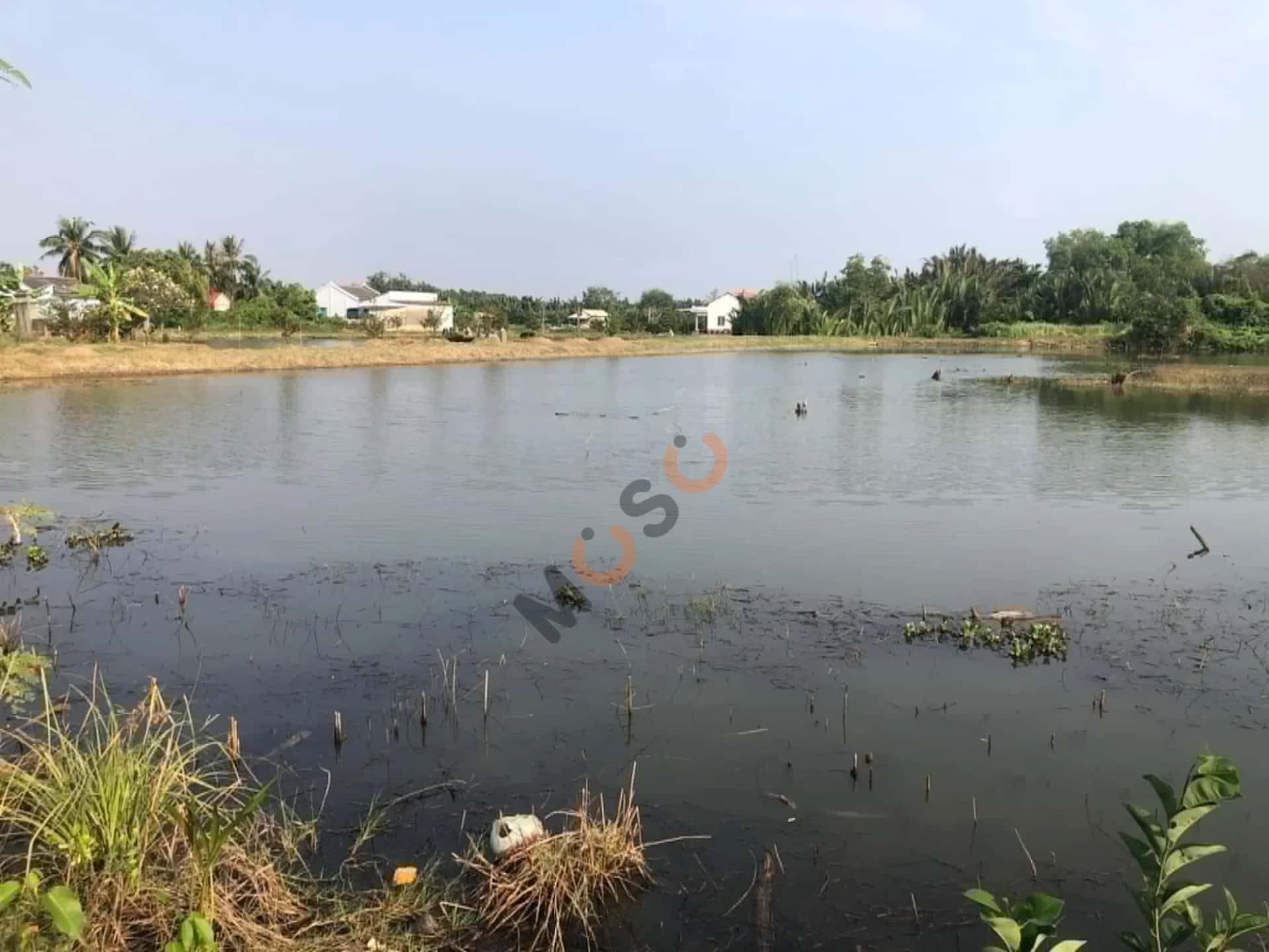Bán đất hẻm đường HL24 Huyện Cần Đước, Long An – giá 1.4 tỷ — Hình 2 Bán đất hẻm đường HL24 Huyện Cần Đước, Long An – giá 1.4 tỷ — Hình 2