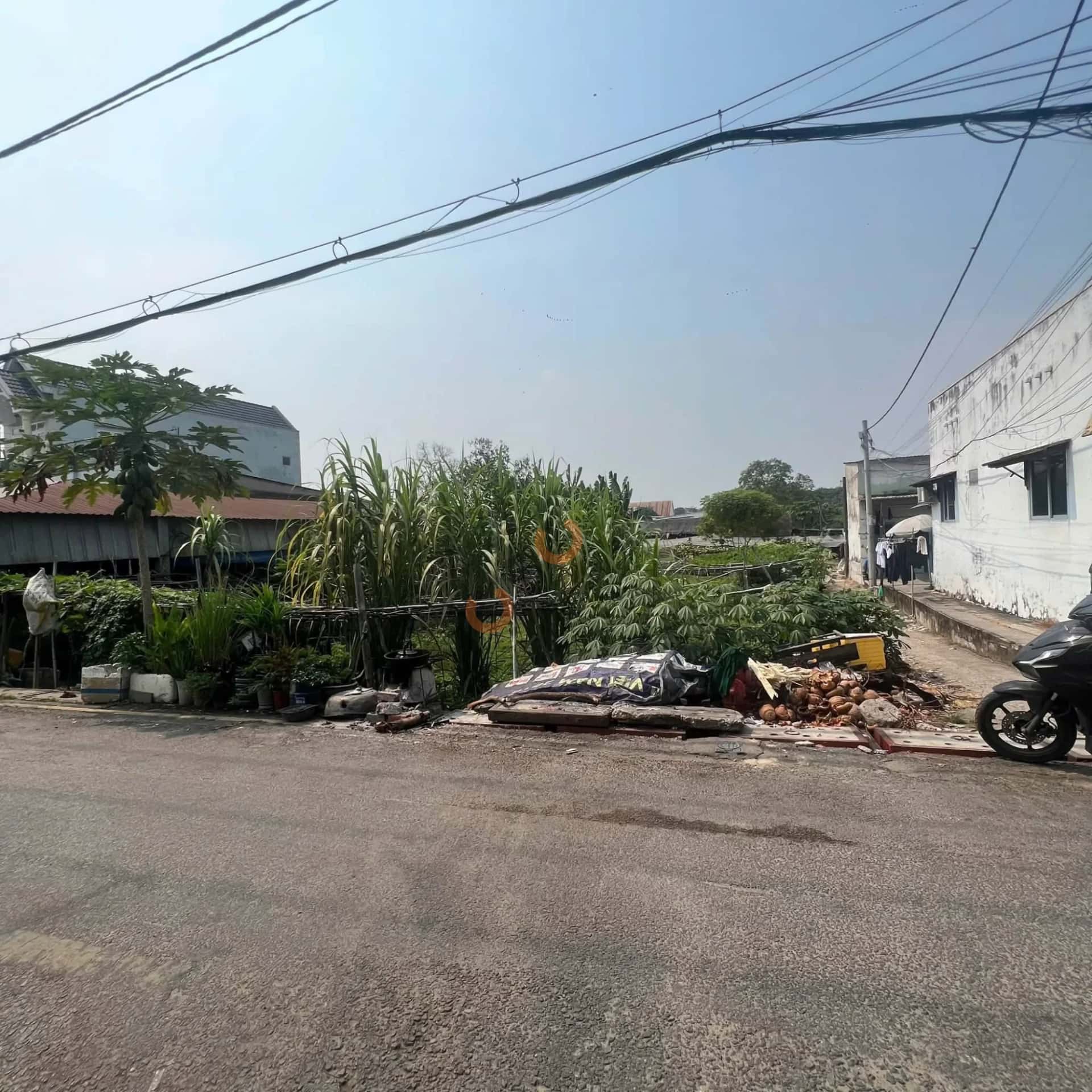 Bán đất Trung Đông 8 Huyện Hóc Môn, TP.HCM – giá 44.5 tỷ — Hình 2 Bán đất Trung Đông 8 Huyện Hóc Môn, TP.HCM – giá 44.5 tỷ — Hình 2