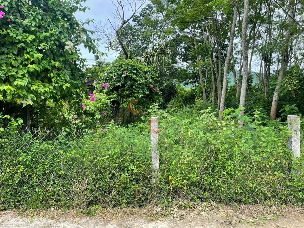 Bán đất Thôn Nam Yên Huyện Hòa Vang, TP. Đà Nẵng – giá 1.4 tỷ Bán đất Thôn Nam Yên Huyện Hòa Vang, TP. Đà Nẵng – giá 1.4 tỷ