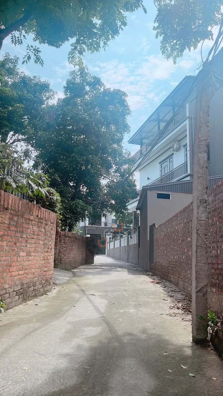 Bán đất Thôn Cẩm Triền Huyện Vĩnh Tường, Vĩnh Phúc – giá 899 triệu — Hình 2 Bán đất Thôn Cẩm Triền Huyện Vĩnh Tường, Vĩnh Phúc – giá 899 triệu — Hình 2