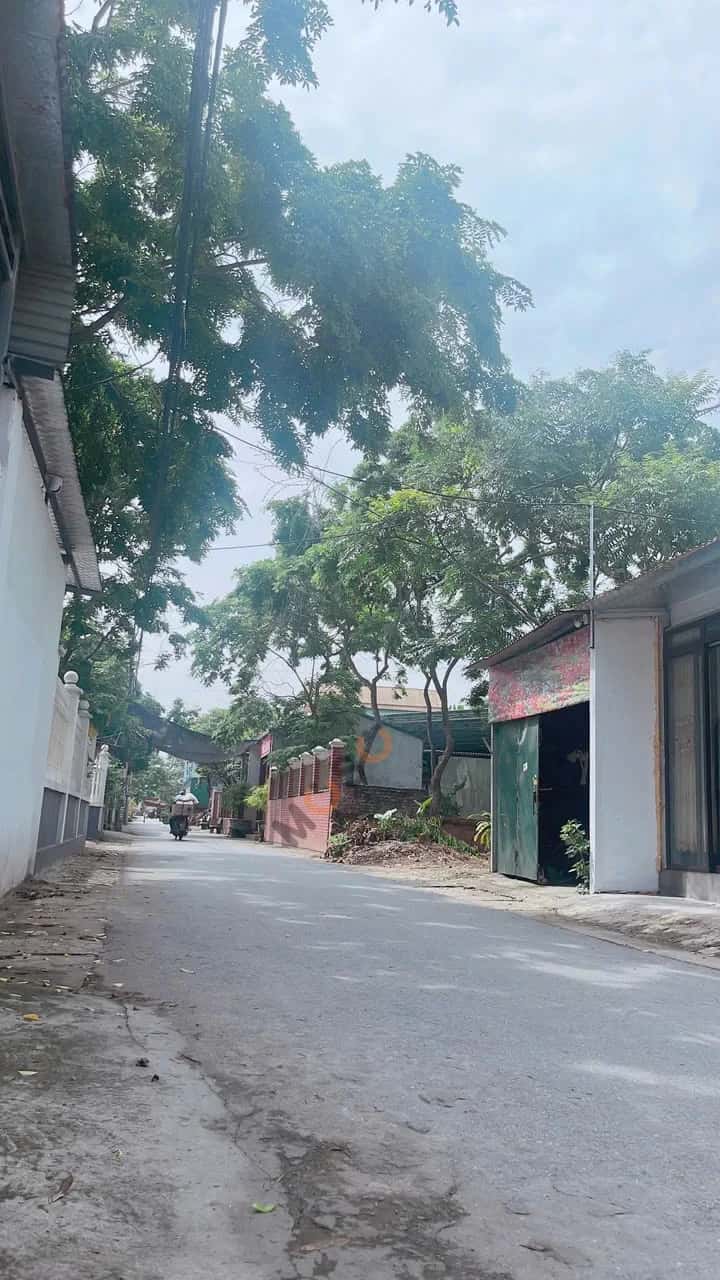 Bán đất Thôn Cẩm Triền Huyện Vĩnh Tường, Vĩnh Phúc – giá 899 triệu — Hình 3 Bán đất Thôn Cẩm Triền Huyện Vĩnh Tường, Vĩnh Phúc – giá 899 triệu — Hình 3