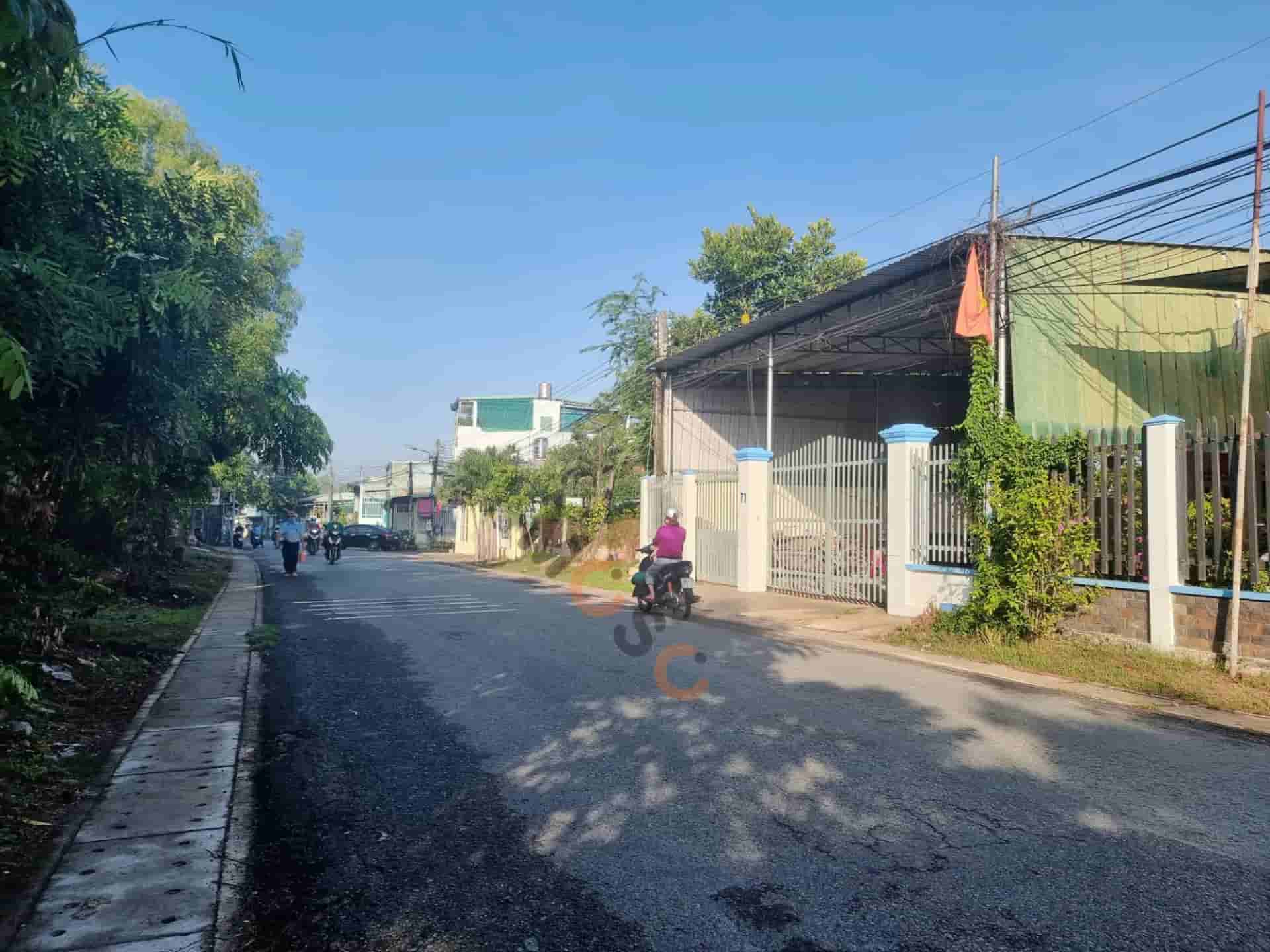 Image Image