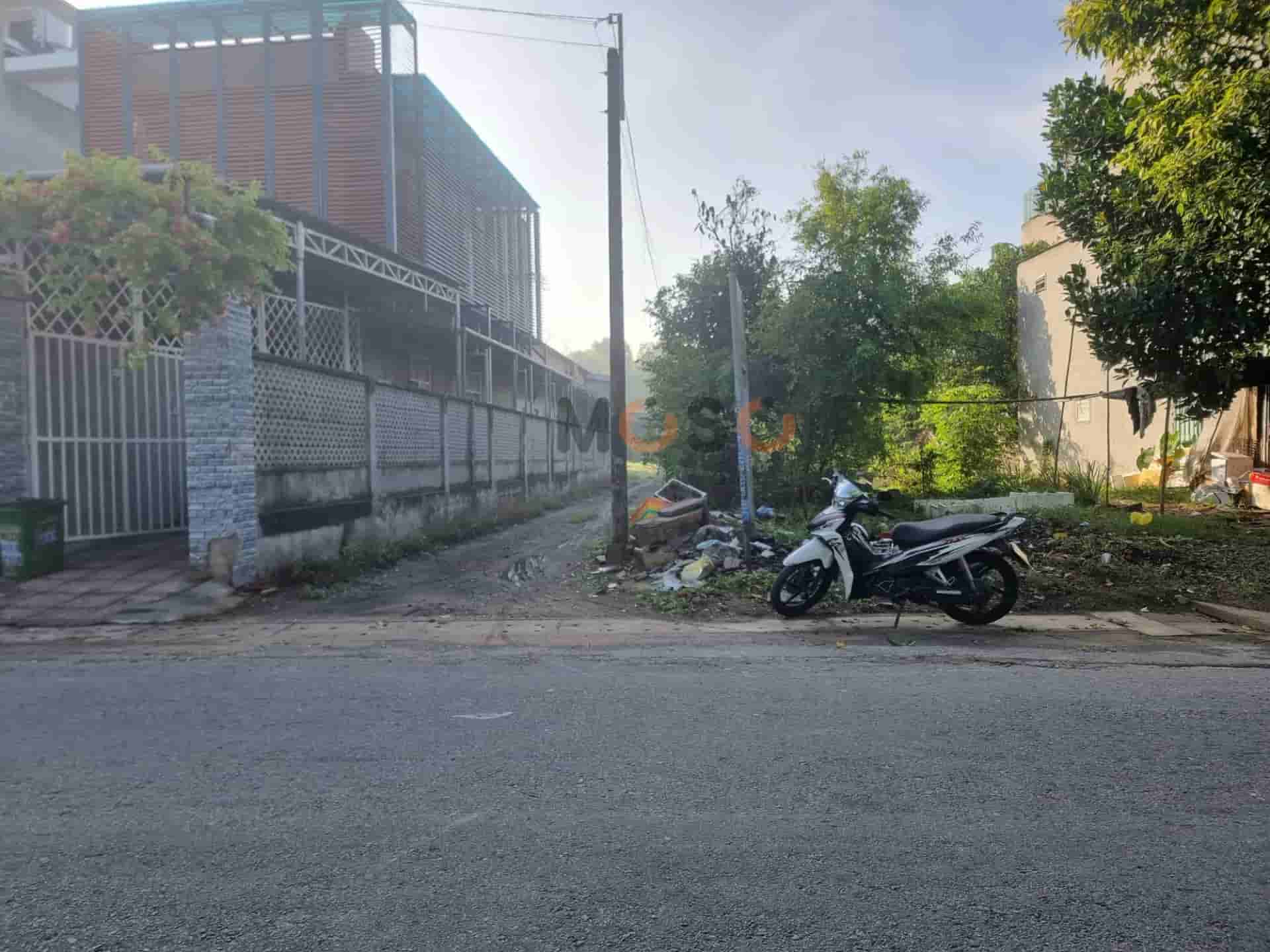 Image Image