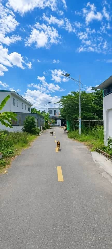 Bán đất thôn An Ninh Huyện Diên Khánh, Khánh Hòa – giá 1.3 tỷ Bán đất thôn An Ninh Huyện Diên Khánh, Khánh Hòa – giá 1.3 tỷ