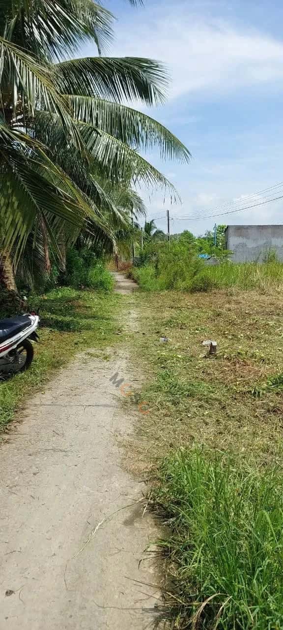 Bán đất Ấp Phước Hòa Huyện Châu Thành, Kiên Giang – giá 850 triệu — Hình 2 Bán đất Ấp Phước Hòa Huyện Châu Thành, Kiên Giang – giá 850 triệu — Hình 2