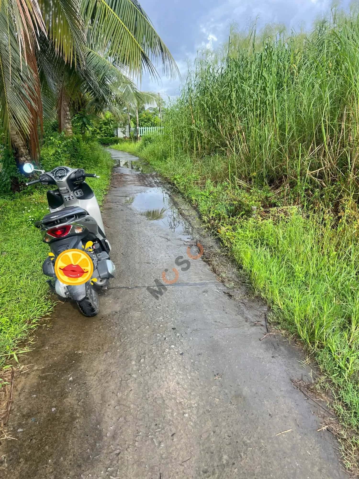 Bán đất Ấp Phước Hòa Huyện Châu Thành, Kiên Giang – giá 850 triệu — Hình 3 Bán đất Ấp Phước Hòa Huyện Châu Thành, Kiên Giang – giá 850 triệu — Hình 3