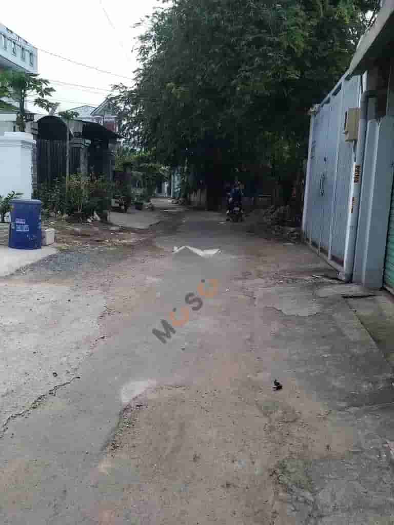 Image Image