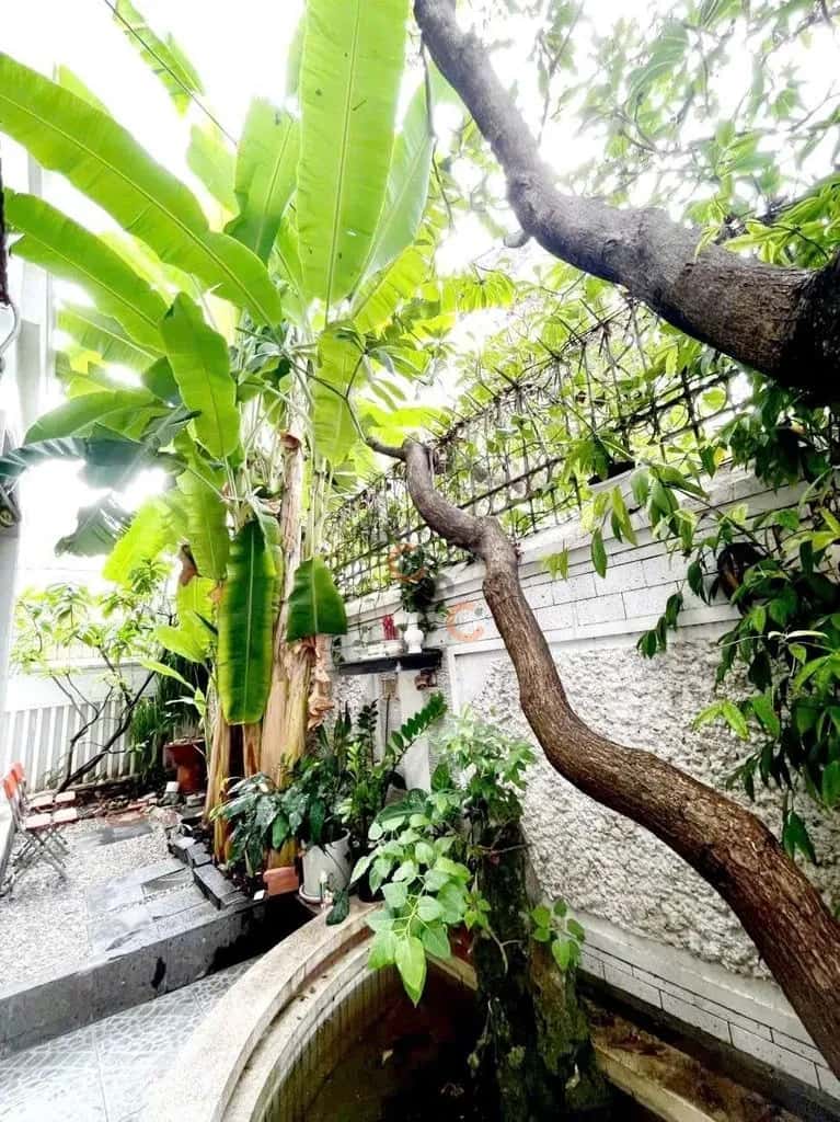 Cho thuê nhà hẻm Nguyễn Cảnh Dị Quận Tân Bình, TP.HCM – 5 phòng ngủ, giá 65 triệu — Hình 3 Cho thuê nhà hẻm Nguyễn Cảnh Dị Quận Tân Bình, TP.HCM – 5 phòng ngủ, giá 65 triệu — Hình 3