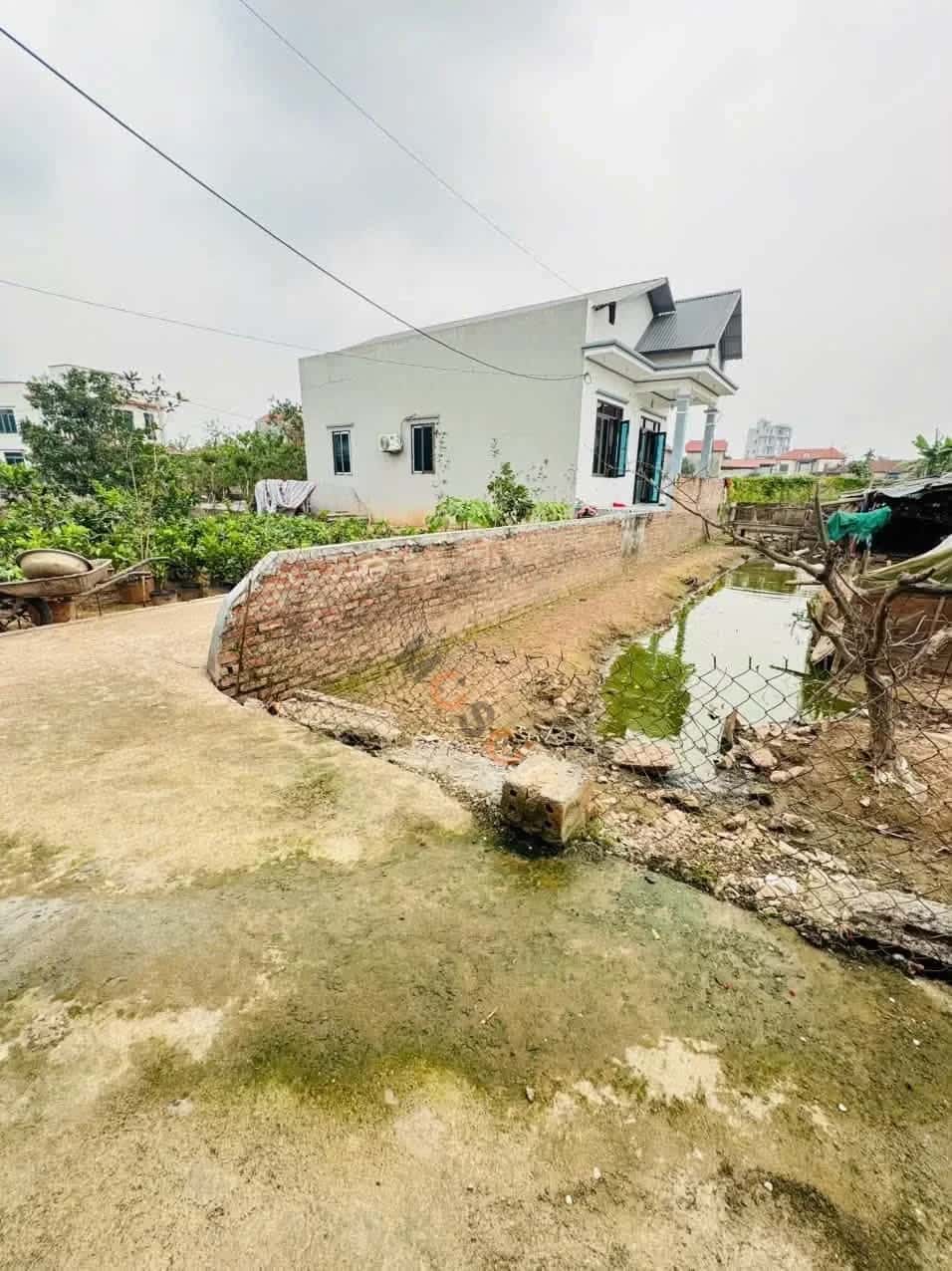Bán đất thôn CD Quán Trạch Huyện Văn Giang, Hưng Yên – giá 2.4 tỷ — Hình 2 Bán đất thôn CD Quán Trạch Huyện Văn Giang, Hưng Yên – giá 2.4 tỷ — Hình 2