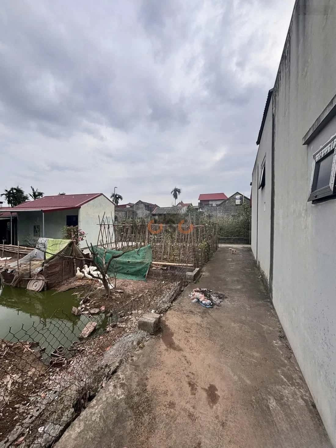 Bán đất thôn CD Quán Trạch Huyện Văn Giang, Hưng Yên – giá 2.4 tỷ — Hình 3 Bán đất thôn CD Quán Trạch Huyện Văn Giang, Hưng Yên – giá 2.4 tỷ — Hình 3