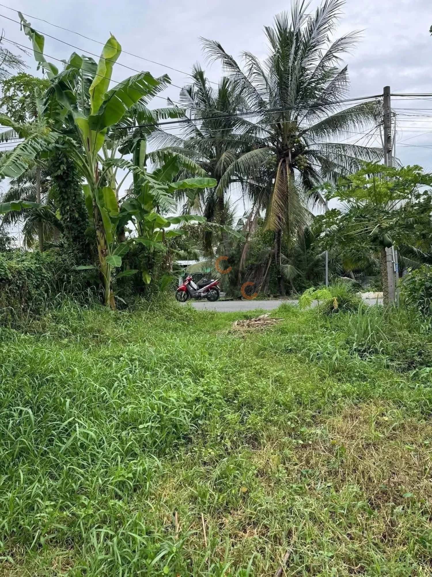 Bán đất Nguyễn Văn Quá Thành phố Tân An, Long An – giá 1.4 tỷ — Hình 2 Bán đất Nguyễn Văn Quá Thành phố Tân An, Long An – giá 1.4 tỷ — Hình 2