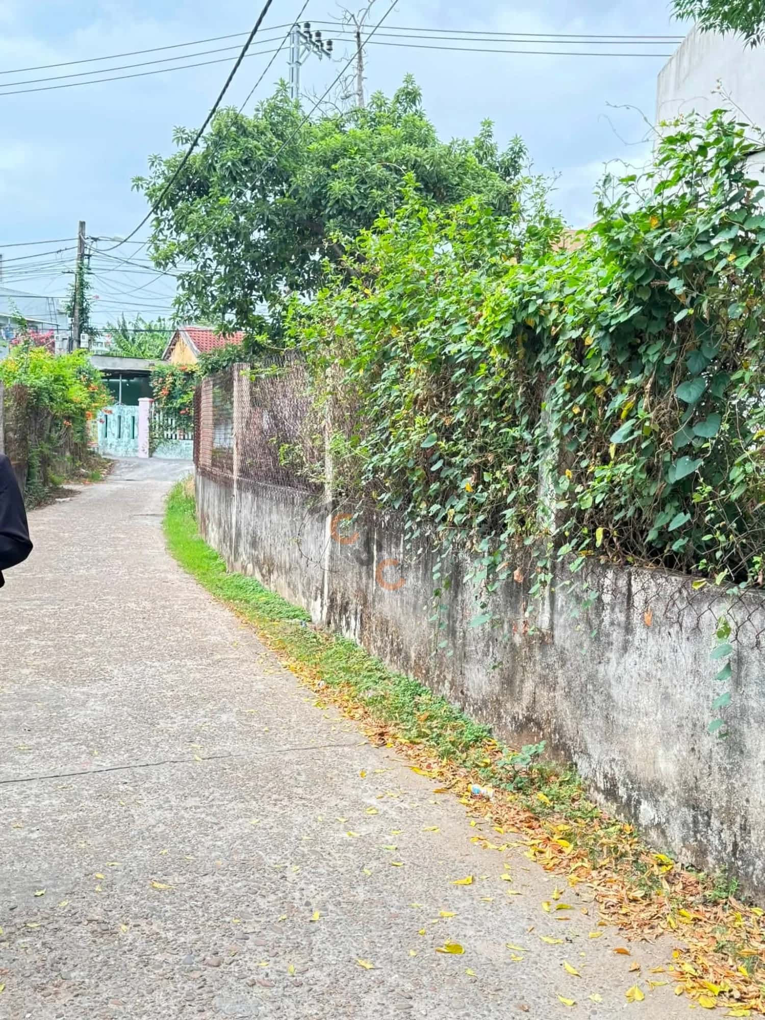 Bán đất Thôn Quan Châu Huyện Hòa Vang, TP. Đà Nẵng – giá 2.1 tỷ — Hình 3 Bán đất Thôn Quan Châu Huyện Hòa Vang, TP. Đà Nẵng – giá 2.1 tỷ — Hình 3