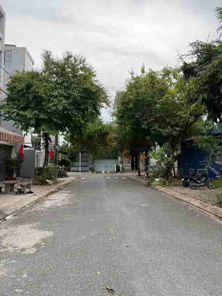 Image Image