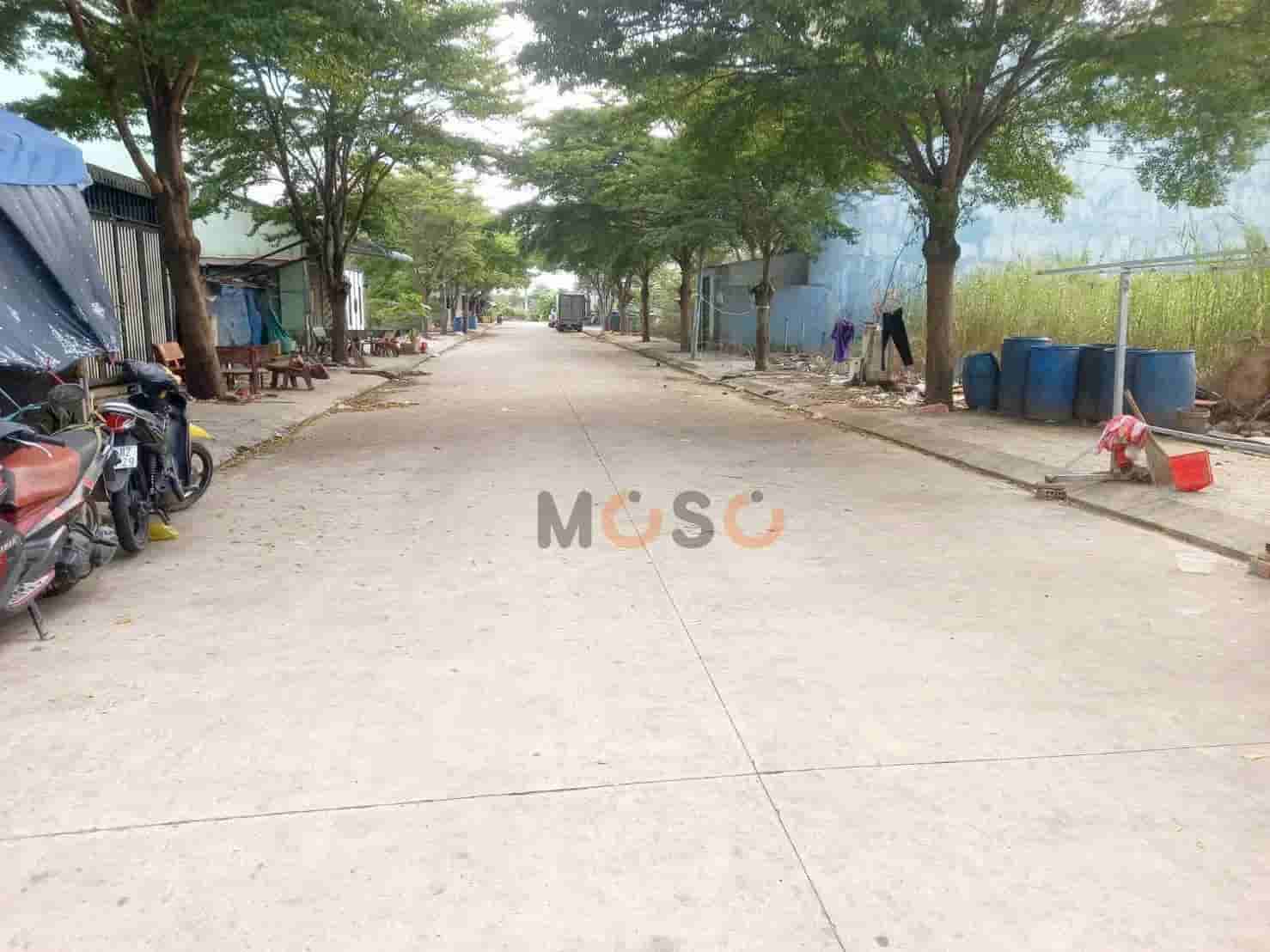 Image Image