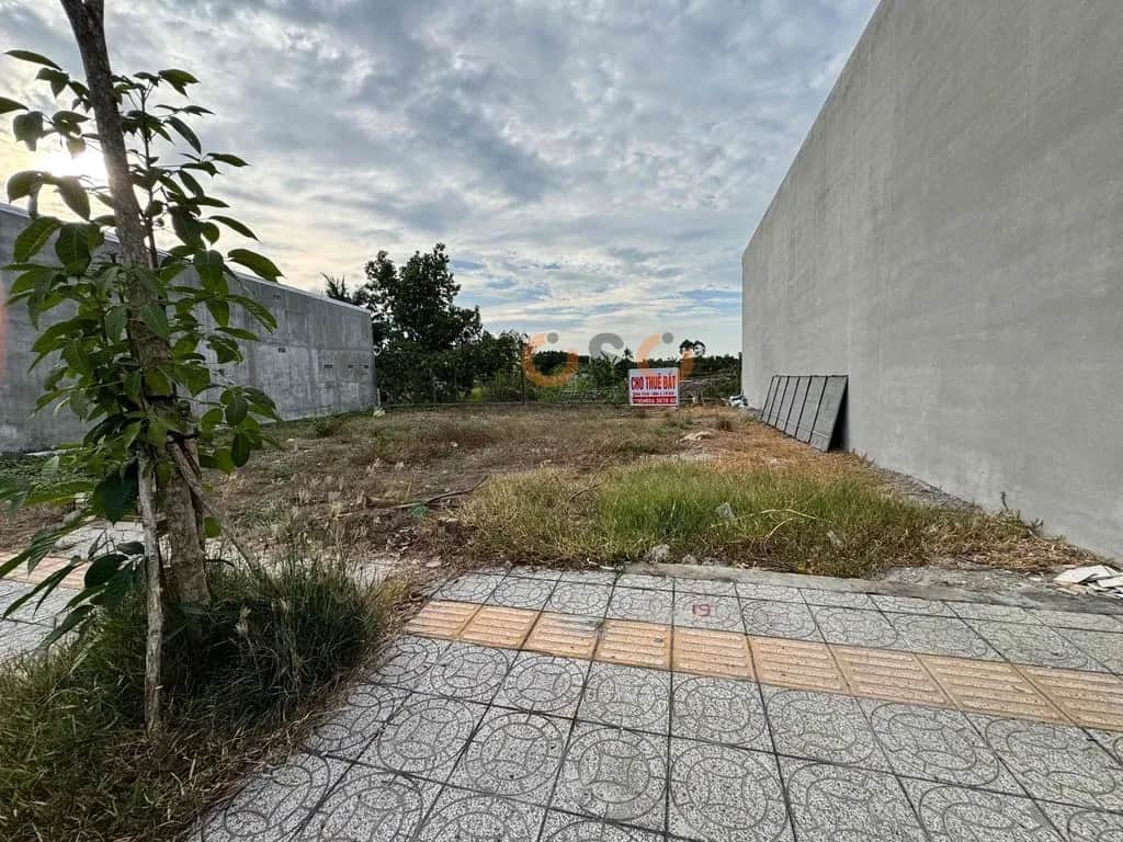 Cho thuê đất N1 Chau Thanh, Can Tho – giá 5 triệu Cho thuê đất N1 Chau Thanh, Can Tho – giá 5 triệu