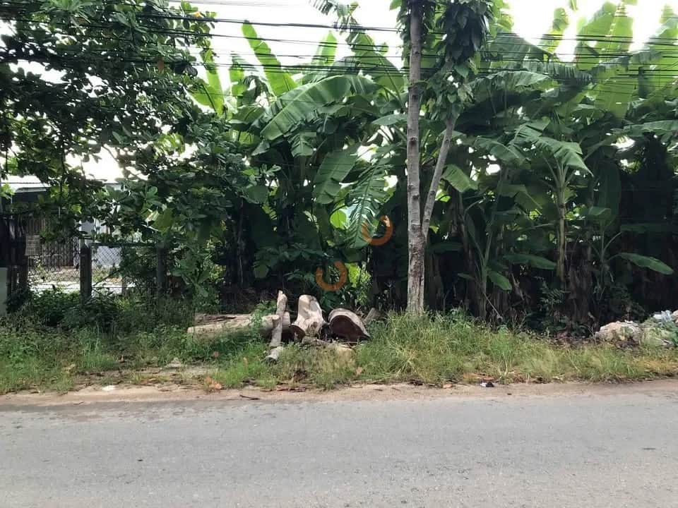 Bán đất Cầu Tàu Thành phố Thuận An, Bình Dương – giá 10.5 tỷ Bán đất Cầu Tàu Thành phố Thuận An, Bình Dương – giá 10.5 tỷ