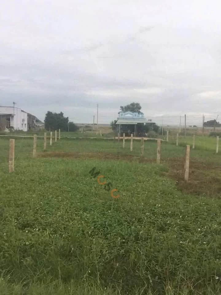 Bán đất Thôn Phú Hòa Huyện Hàm Thuận Bắc, Bình Thuận – giá 340 triệu Bán đất Thôn Phú Hòa Huyện Hàm Thuận Bắc, Bình Thuận – giá 340 triệu