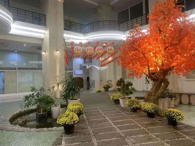 Cho thuê căn hộ chung cư Lý Thường Kiệt Quận 11, TP.HCM – 2 phòng ngủ, giá 12 triệu Cho thuê căn hộ chung cư Lý Thường Kiệt Quận 11, TP.HCM – 2 phòng ngủ, giá 12 triệu