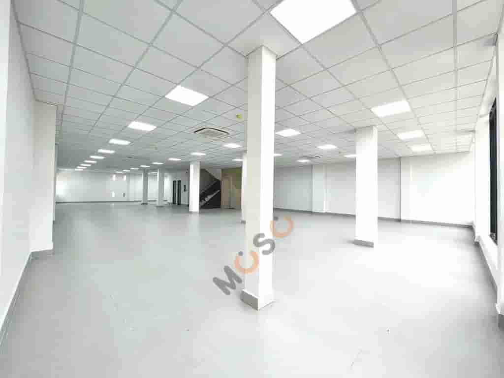 Image Image