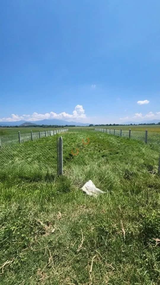 Bán đất hẻm Phan Đăng Lưu Thành phố Phan Rang-Tháp Chàm, Ninh Thuận – giá 450 triệu Bán đất hẻm Phan Đăng Lưu Thành phố Phan Rang-Tháp Chàm, Ninh Thuận – giá 450 triệu