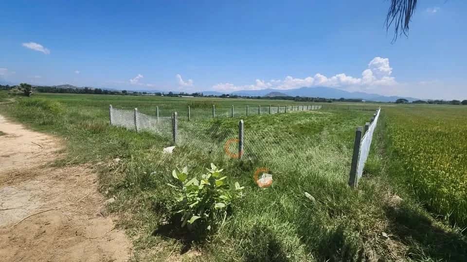 Bán đất hẻm Phan Đăng Lưu Thành phố Phan Rang-Tháp Chàm, Ninh Thuận – giá 450 triệu — Hình 3 Bán đất hẻm Phan Đăng Lưu Thành phố Phan Rang-Tháp Chàm, Ninh Thuận – giá 450 triệu — Hình 3