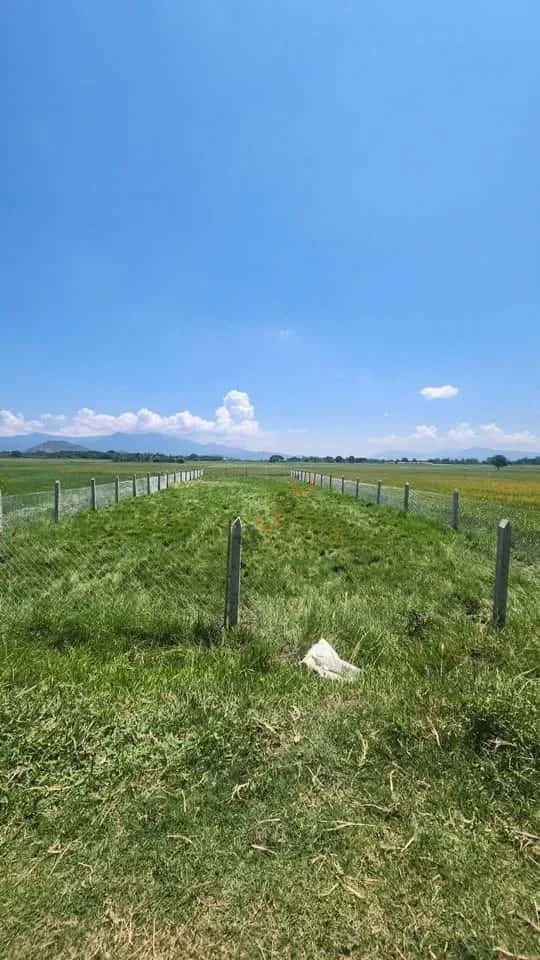 Bán đất hẻm Phan Đăng Lưu Thành phố Phan Rang-Tháp Chàm, Ninh Thuận – giá 450 triệu — Hình 2 Bán đất hẻm Phan Đăng Lưu Thành phố Phan Rang-Tháp Chàm, Ninh Thuận – giá 450 triệu — Hình 2