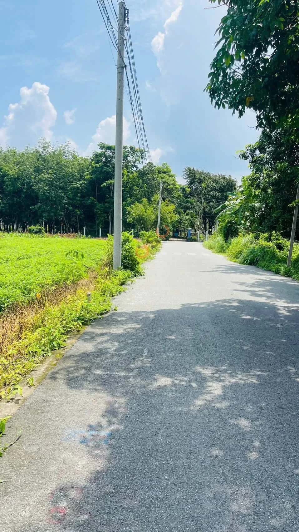 Bán đất đường DT741 Thành phố Bến Cát, Bình Dương – giá 1.1 tỷ — Hình 3 Bán đất đường DT741 Thành phố Bến Cát, Bình Dương – giá 1.1 tỷ — Hình 3