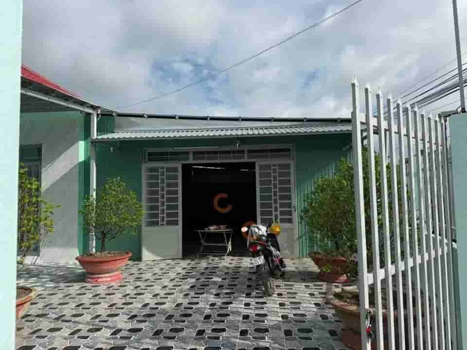 Image Image