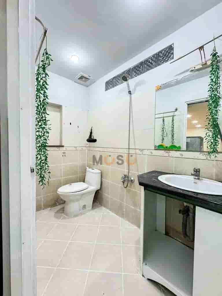 Image Image