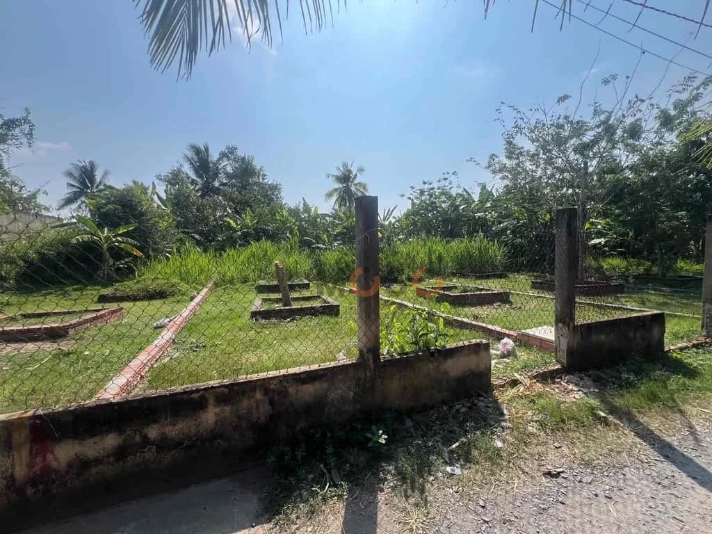 Bán đất đường T12 Huyện Bình Chánh, TP.HCM – giá 2 tỷ — Hình 2 Bán đất đường T12 Huyện Bình Chánh, TP.HCM – giá 2 tỷ — Hình 2