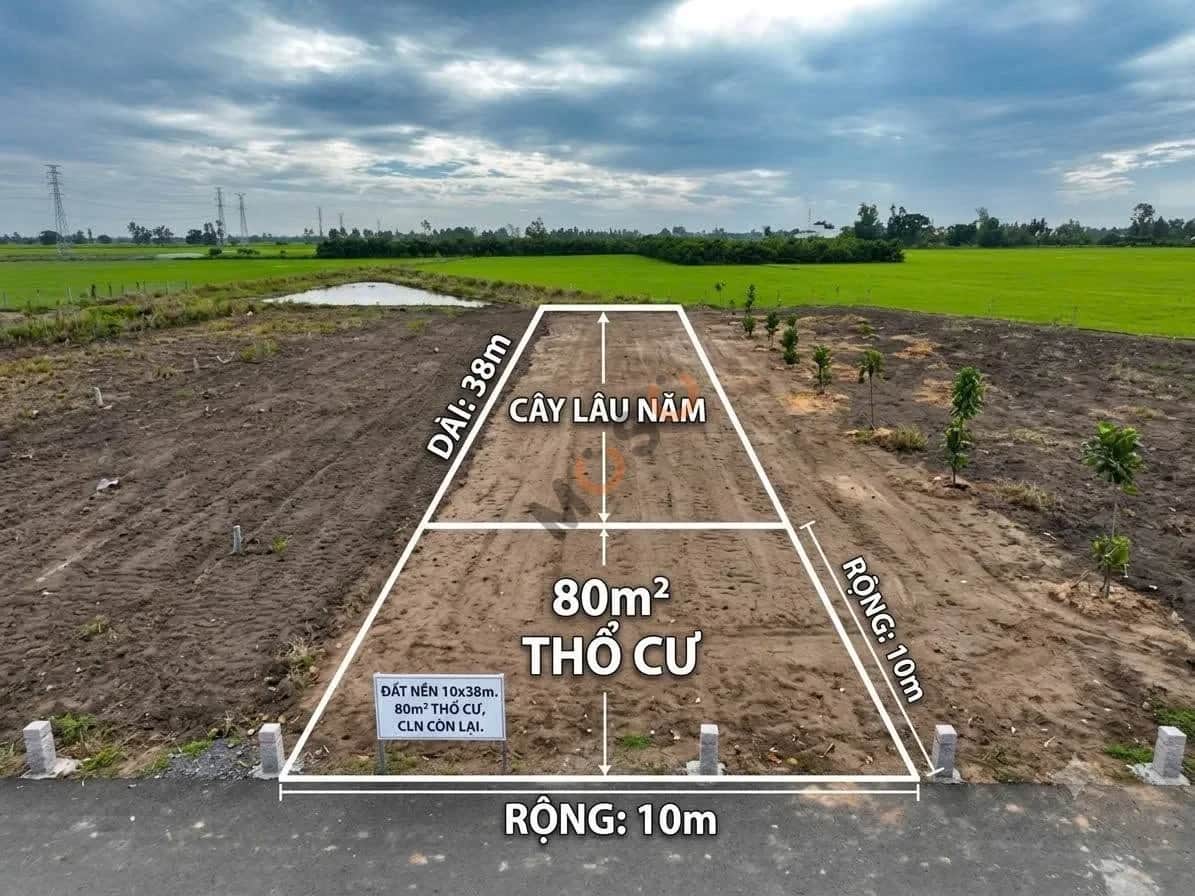 Bán đất kênh Bà Xã Năm, Ấp Thạnh Phước Huyện Cờ Đỏ, TP. Cần Thơ – giá 650 triệu Bán đất kênh Bà Xã Năm, Ấp Thạnh Phước Huyện Cờ Đỏ, TP. Cần Thơ – giá 650 triệu