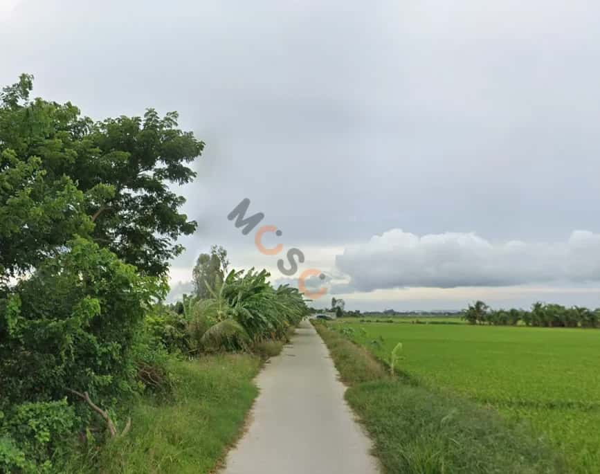 Bán đất kênh Bà Xã Năm, Ấp Thạnh Phước Huyện Cờ Đỏ, TP. Cần Thơ – giá 650 triệu — Hình 2 Bán đất kênh Bà Xã Năm, Ấp Thạnh Phước Huyện Cờ Đỏ, TP. Cần Thơ – giá 650 triệu — Hình 2