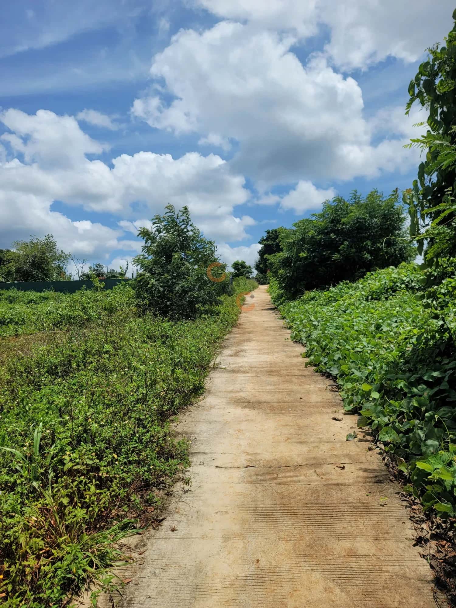 Bán đất đường 19/5 Thành phố Buôn Ma Thuột, Đắk Lắk – giá 1.6 tỷ — Hình 3 Bán đất đường 19/5 Thành phố Buôn Ma Thuột, Đắk Lắk – giá 1.6 tỷ — Hình 3