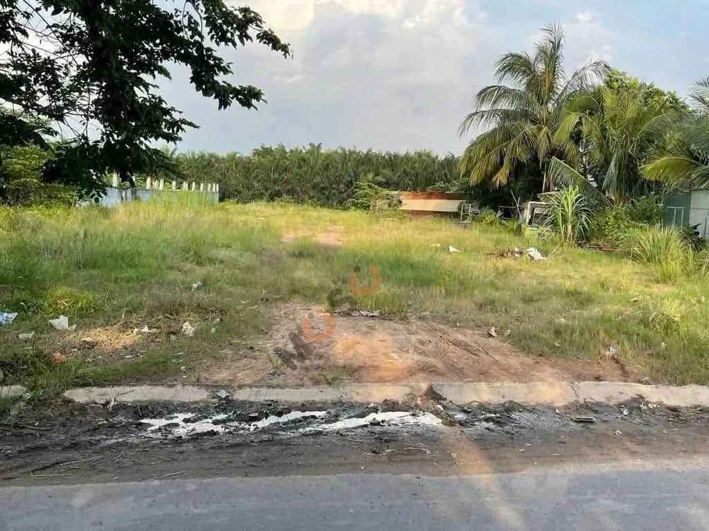 Cho thuê đất Huỳnh Thị Na Huyện Hóc Môn, TP.HCM – giá 17 triệu Cho thuê đất Huỳnh Thị Na Huyện Hóc Môn, TP.HCM – giá 17 triệu
