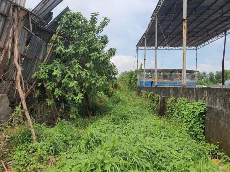 Bán đất Đường Tân An Thị xã Dĩ An, Bình Dương – giá 2.6 tỷ — Hình 2 Bán đất Đường Tân An Thị xã Dĩ An, Bình Dương – giá 2.6 tỷ — Hình 2