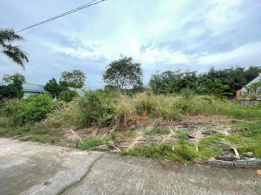 Bán đất Quốc lộ 13 Thị xã Bến Cát, Bình Dương – giá 1.2 tỷ — Hình 3 Bán đất Quốc lộ 13 Thị xã Bến Cát, Bình Dương – giá 1.2 tỷ — Hình 3
