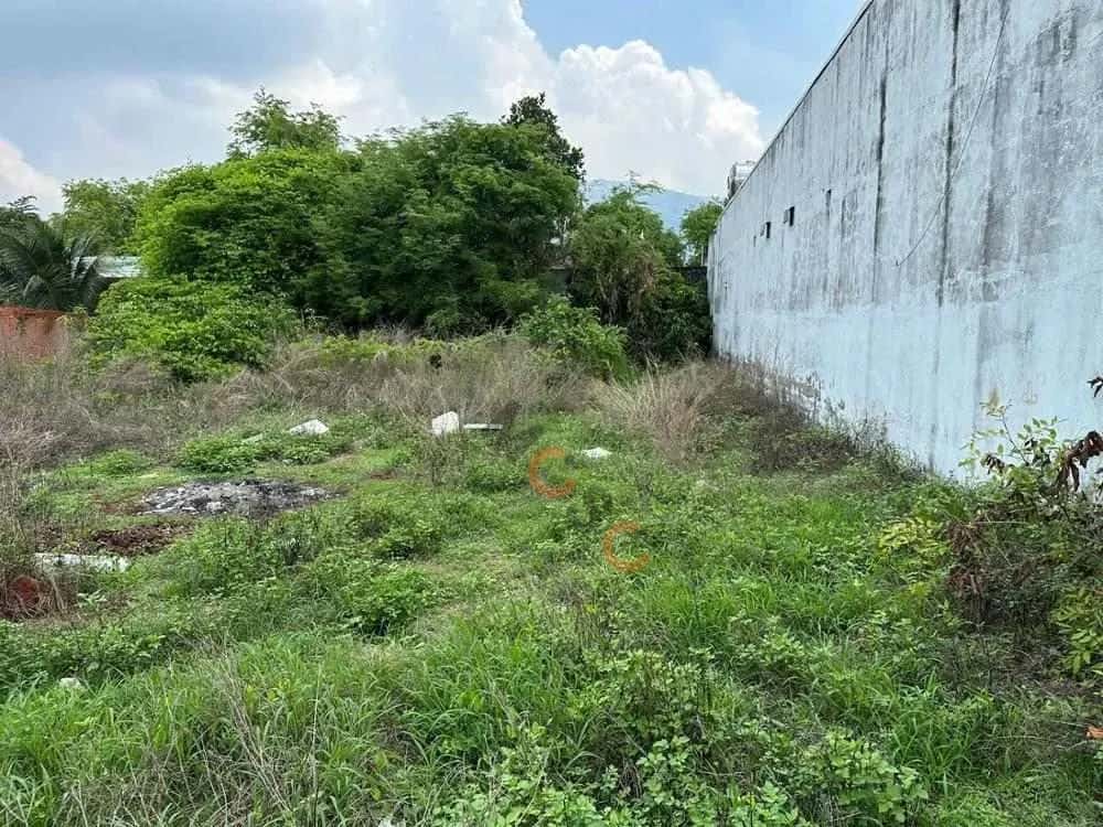 Bán đất Trịnh Hoài Đức Huyện Xuân Lộc, Đồng Nai – giá 1.6 tỷ — Hình 3 Bán đất Trịnh Hoài Đức Huyện Xuân Lộc, Đồng Nai – giá 1.6 tỷ — Hình 3