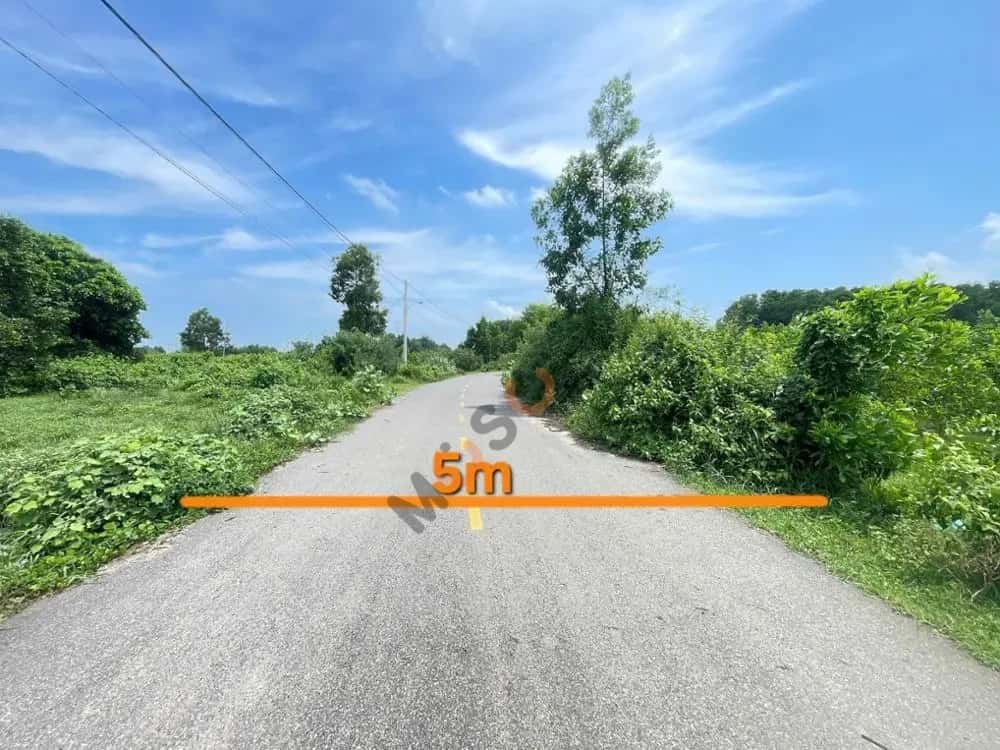 Bán đất Xuyên Mộc, BRVT – giá 8.6 tỷ — Hình 3 Bán đất Xuyên Mộc, BRVT – giá 8.6 tỷ — Hình 3