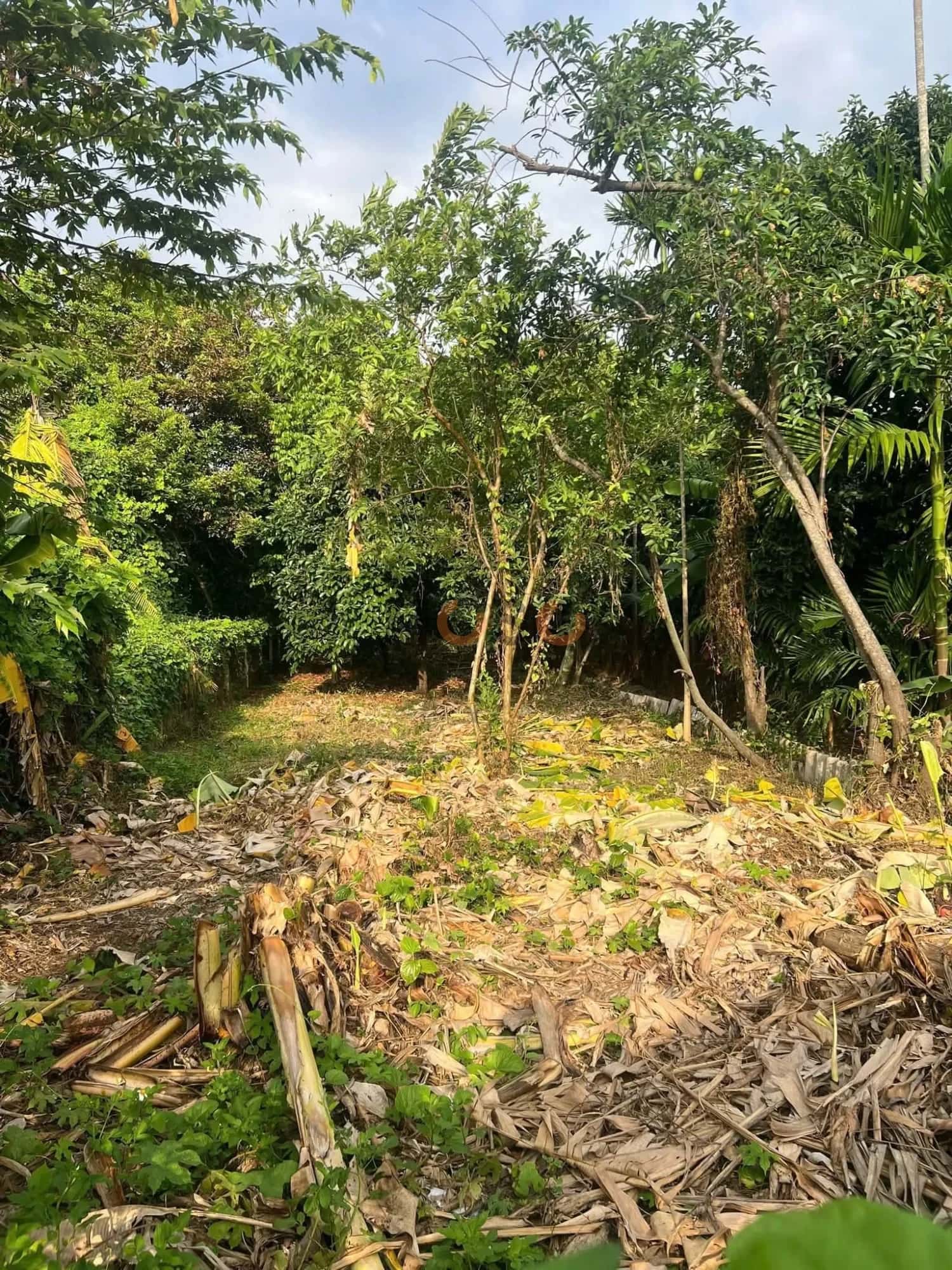 Bán đất đường Chòm Sao - Suối Đờn Thành phố Thuận An, Bình Dương – giá 5 tỷ — Hình 2 Bán đất đường Chòm Sao - Suối Đờn Thành phố Thuận An, Bình Dương – giá 5 tỷ — Hình 2