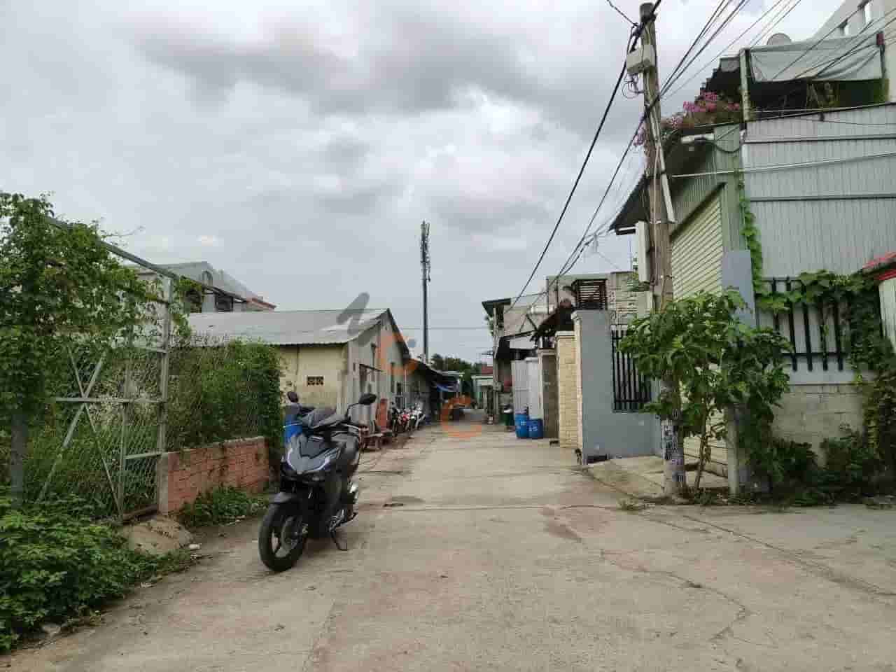 Image Image