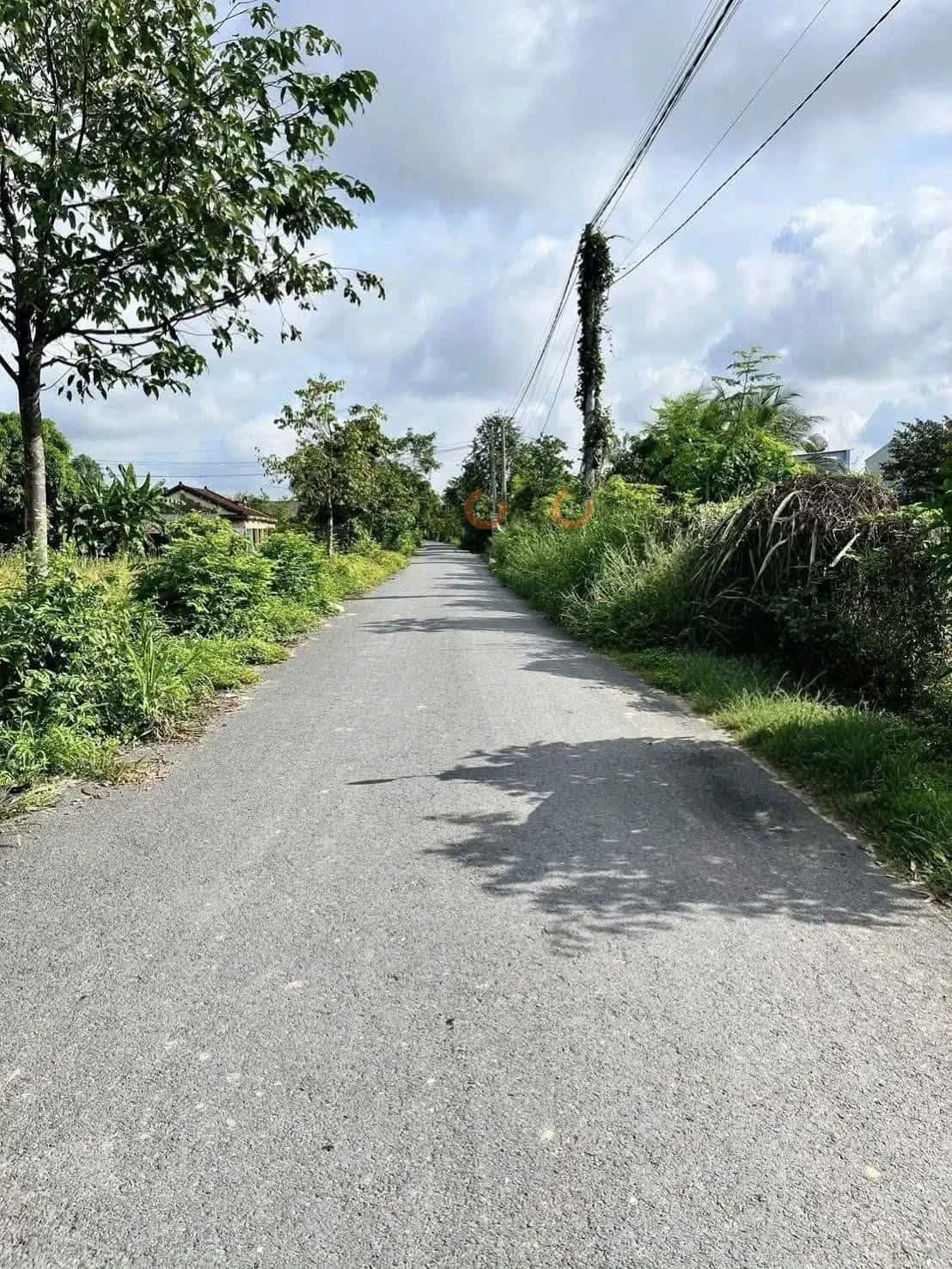 Bán đất đường Hoa Vàng Huyện Đức Hòa, Long An – giá 1.6 tỷ — Hình 3 Bán đất đường Hoa Vàng Huyện Đức Hòa, Long An – giá 1.6 tỷ — Hình 3