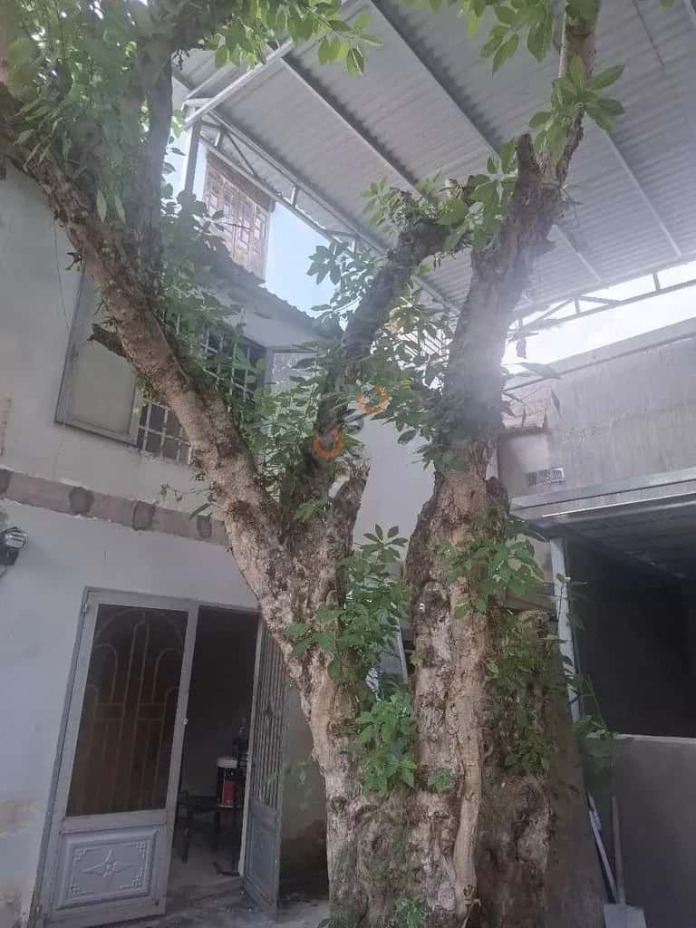 Cho thuê nhà hẻm Đường Thạnh Xuân 14 Quận 12, TP.HCM – 2 phòng ngủ, giá 5 triệu — Hình 3 Cho thuê nhà hẻm Đường Thạnh Xuân 14 Quận 12, TP.HCM – 2 phòng ngủ, giá 5 triệu — Hình 3