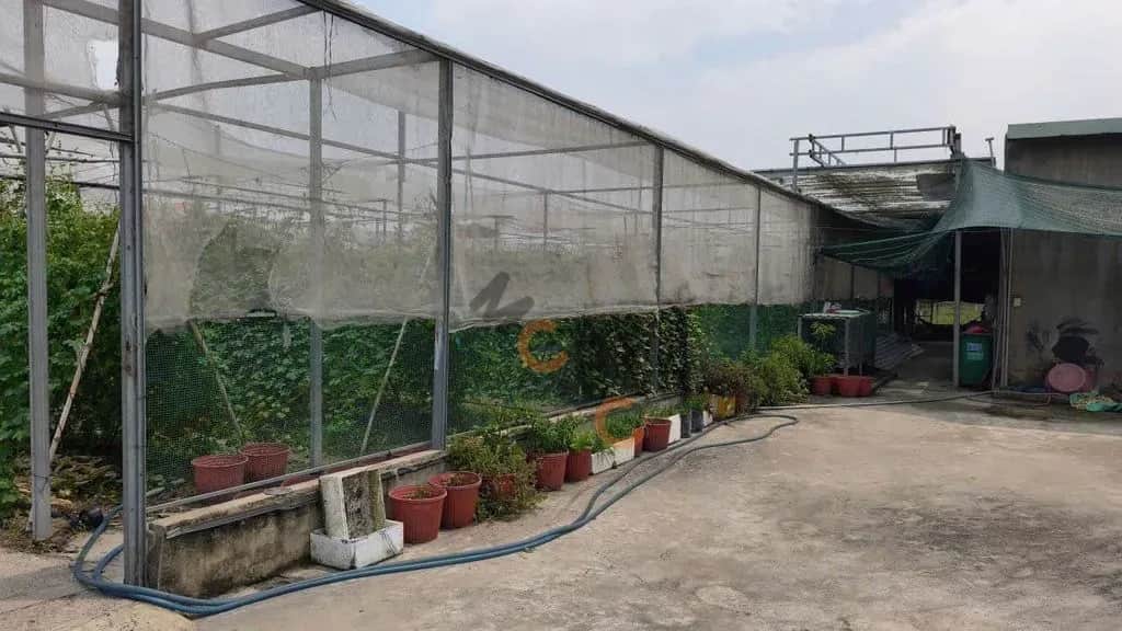 Cho thuê đất Đường Số 89 Huyện Củ Chi, Ho Chi Minh – giá 4 triệu Cho thuê đất Đường Số 89 Huyện Củ Chi, Ho Chi Minh – giá 4 triệu