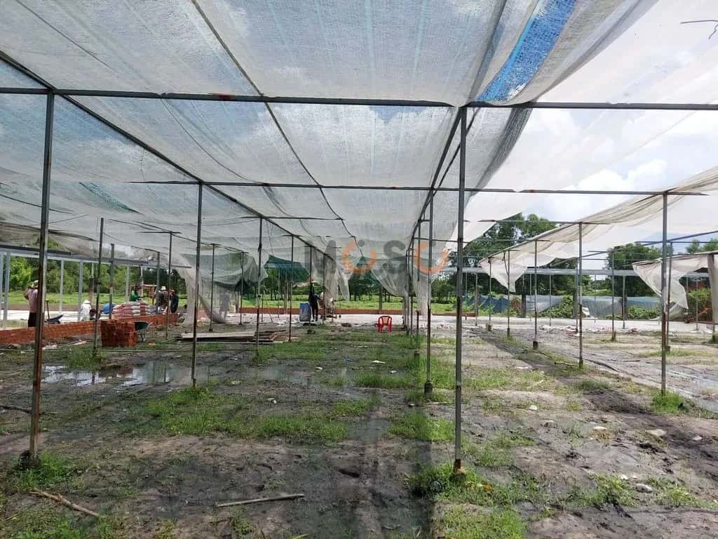 Cho thuê đất Đường Số 89 Huyện Củ Chi, Ho Chi Minh – giá 4 triệu — Hình 2 Cho thuê đất Đường Số 89 Huyện Củ Chi, Ho Chi Minh – giá 4 triệu — Hình 2